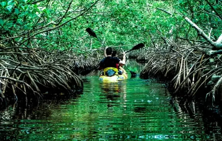 04 Nights & 05 Days (1) – Andaman Package (Deluxe)