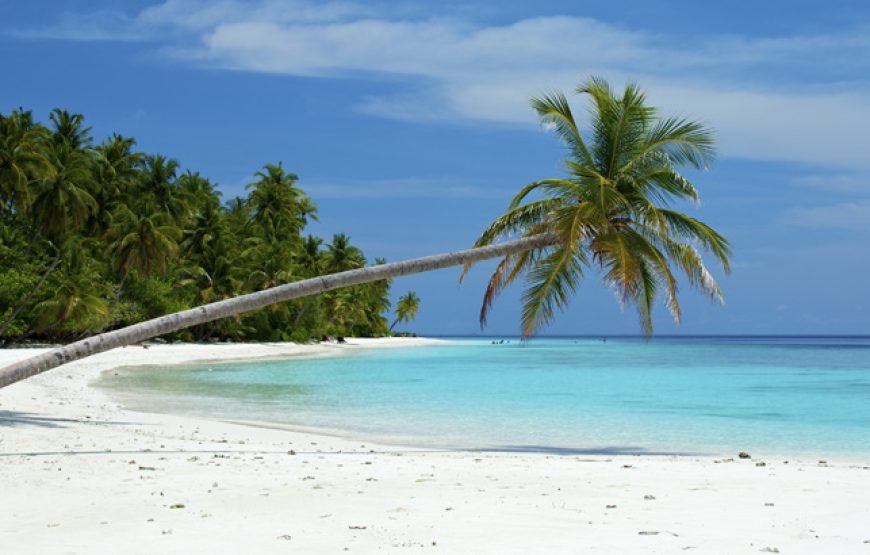 04 Nights & 05 Days – Andaman Package 2 (Deluxe )