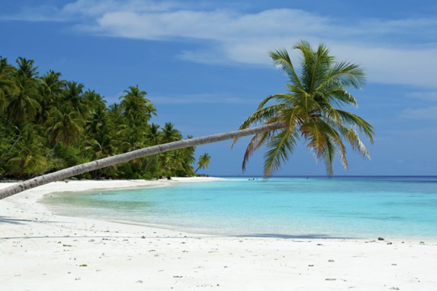 05 Nights  06 Days – Andaman Package with Neil Island (Economy AC )