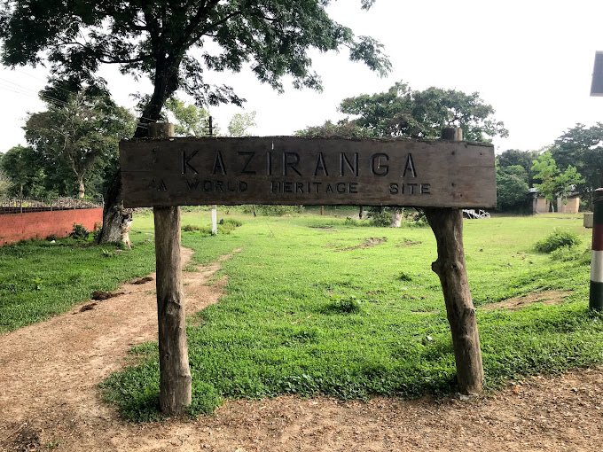 Day 1 : GUWAHATI - KAZIRANGA