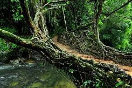 SHILLONG – CHERRAPUNJEE- MAWLYNNONG – DAWKI – GUWAHATI TOUR  5N 6D (LUXURY PACKAGE)CUSTOMISE PACKAGE AVAILABLE