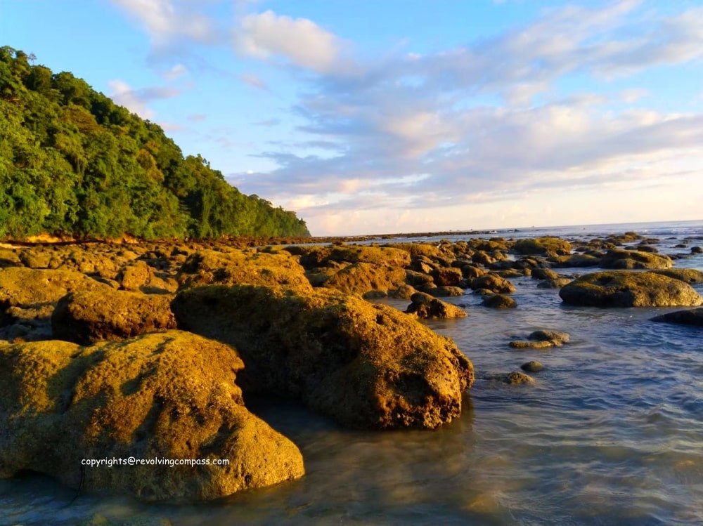 Day 2: Port Blair - Havelock – Radhanagar Beach 