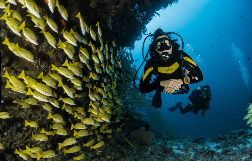 06 Nights & 07 Days – Andaman Package with Neil Island (Economy AC)