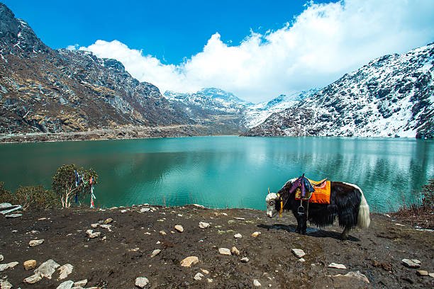 DAY 05: LACHUNG - GANGTOK (116 KMS / 6 HRS)