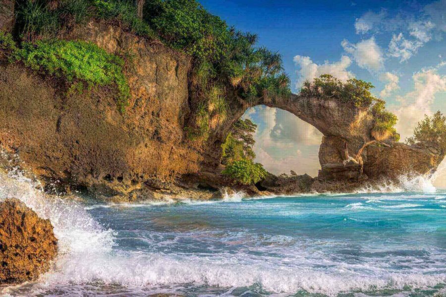 05 Nights &06 Days – Andaman Package with 01 Nights Neil and 01 Night Havelock (Premium ++)